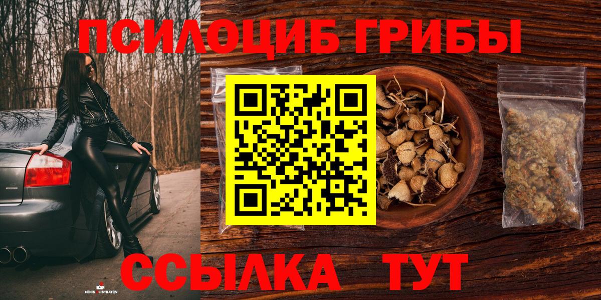 Псилоцибиновые грибы Psilocybe  цены   Сосновый Бор  Галлюциногенные грибы Psilocybine cubensis  Вход с VPN 
